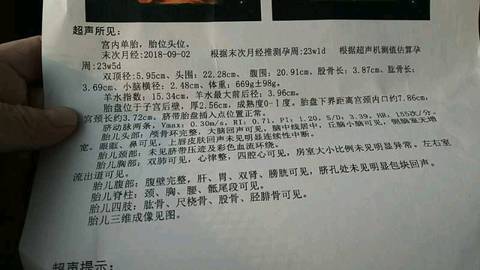 journal_insert_pic_1179625060