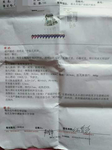 journal_insert_pic_1179845904