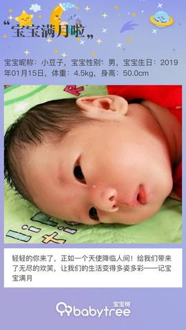 journal_insert_pic_1180847315