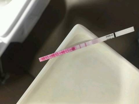 journal_insert_pic_1181349575