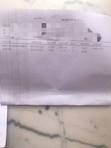 journal_insert_pic_1181129644