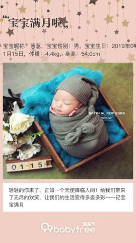 journal_insert_pic_1181875403