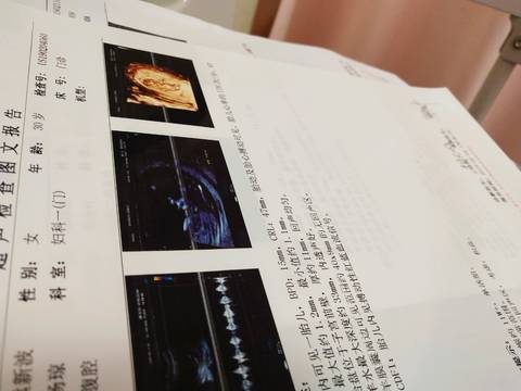 journal_insert_pic_1181637175