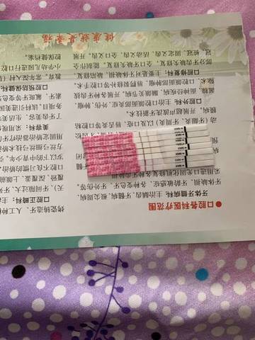 journal_insert_pic_1182224522