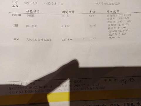 journal_insert_pic_1183358075