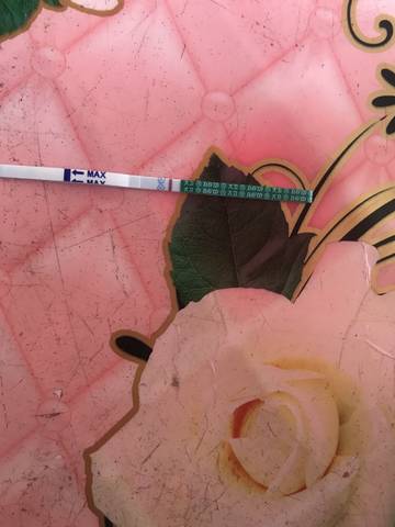 journal_insert_pic_1183586030