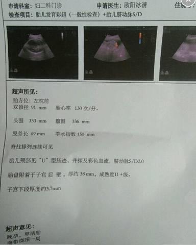 journal_insert_pic_1184486542