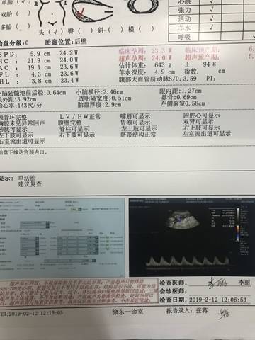 journal_insert_pic_1184545494