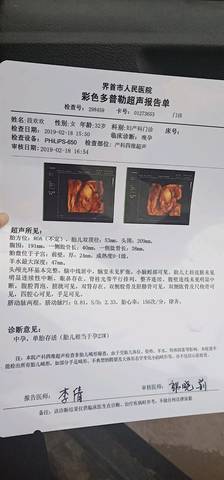 journal_insert_pic_1184532295