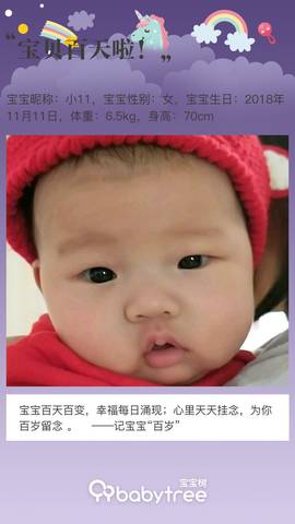 journal_insert_pic_1185096727