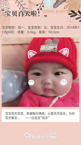journal_insert_pic_1185347055