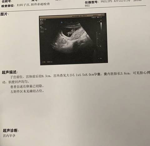 journal_insert_pic_1185700888