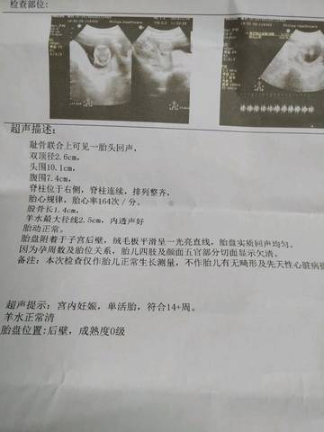 journal_insert_pic_1185608582