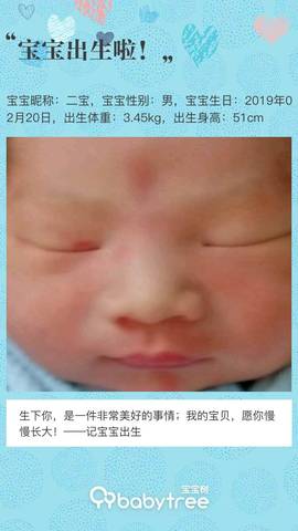 journal_insert_pic_1186045420