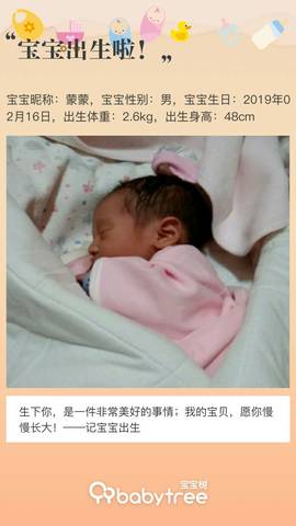 journal_insert_pic_1186151203
