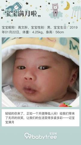 journal_insert_pic_1186499209