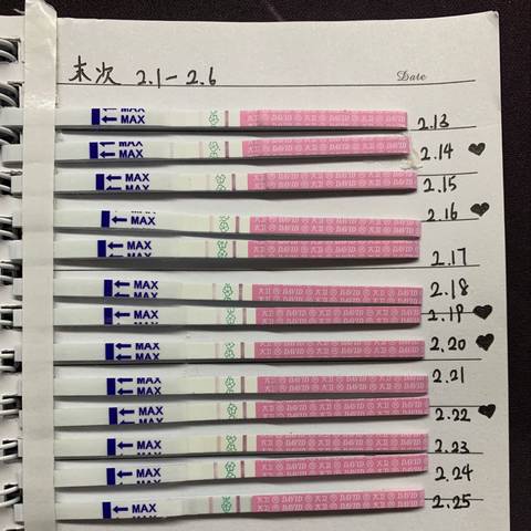 journal_insert_pic_1188772373