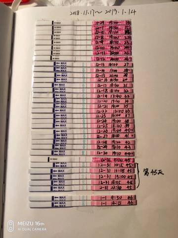 journal_insert_pic_1188895250