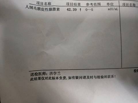 journal_insert_pic_1188794843