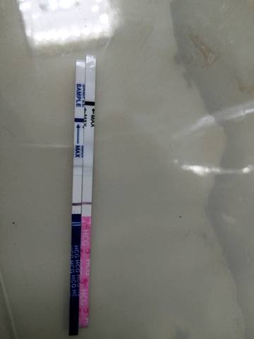 journal_insert_pic_1190117693