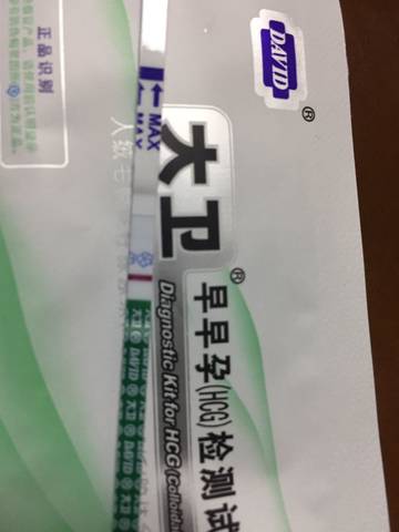 journal_insert_pic_1190703334