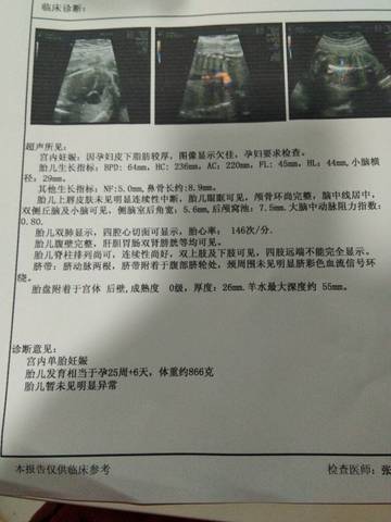 journal_insert_pic_1191187398