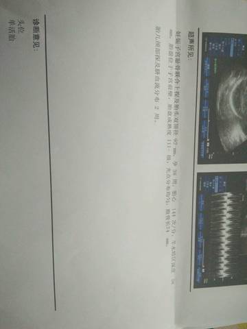 journal_insert_pic_1191045029