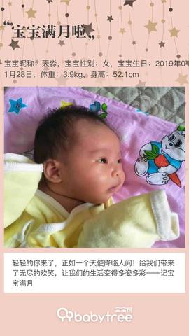 journal_insert_pic_1191090667