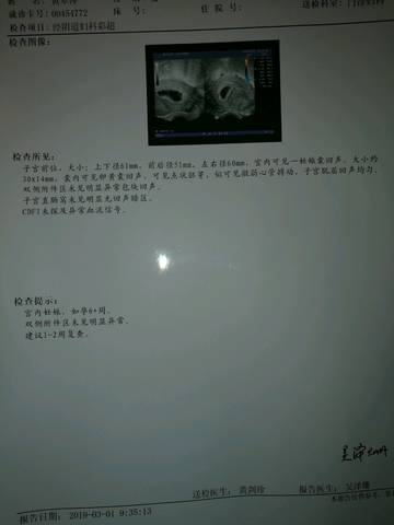 journal_insert_pic_1191269905