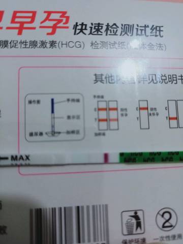 journal_insert_pic_1191802629