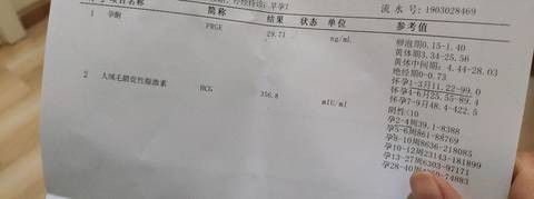 journal_insert_pic_1191655187