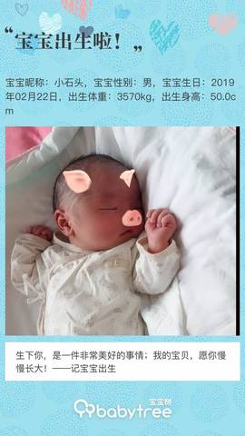 journal_insert_pic_1191696254