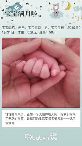 journal_insert_pic_1191447778