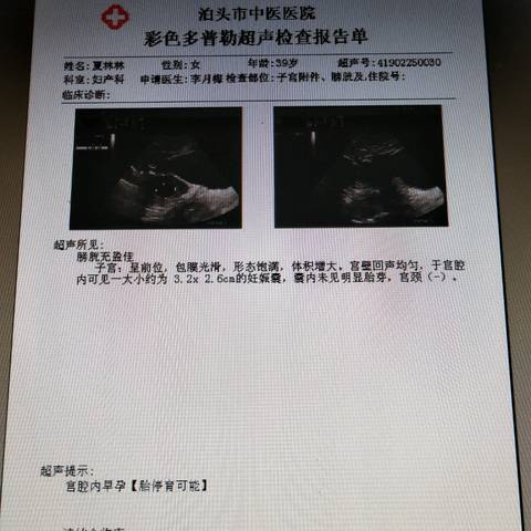 journal_insert_pic_1191533735