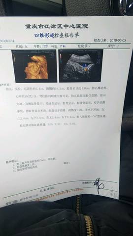 journal_insert_pic_1192305010