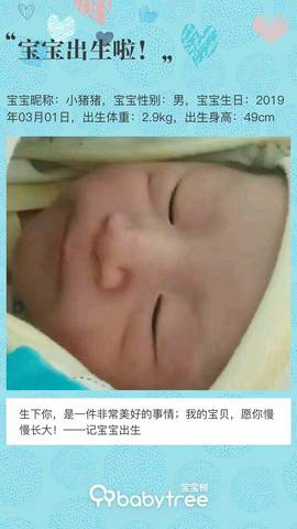 journal_insert_pic_1193150801