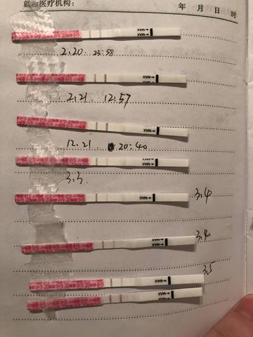 journal_insert_pic_1193466965