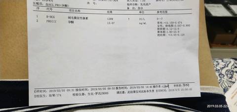 journal_insert_pic_1193533928