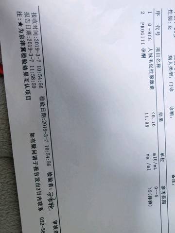 journal_insert_pic_1194641072