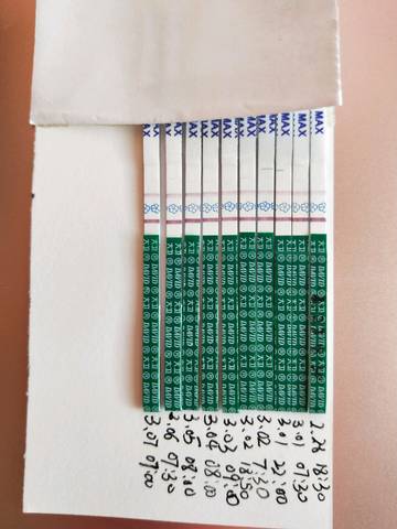 journal_insert_pic_1195206782