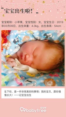 journal_insert_pic_1195877925