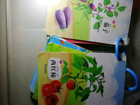 journal_insert_pic_1196256987