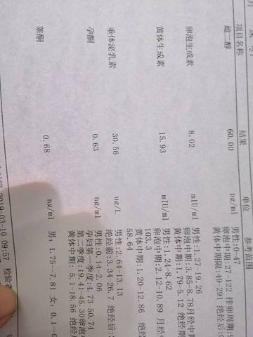 journal_insert_pic_1195969485