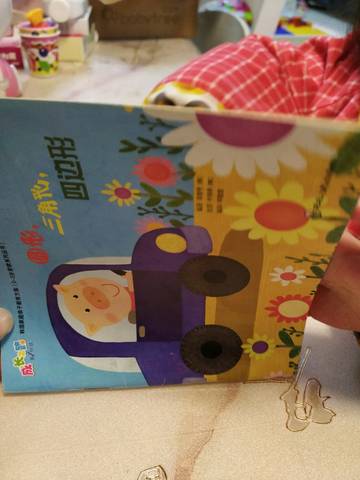journal_insert_pic_1196058375