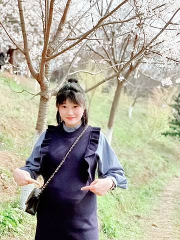 journal_insert_pic_1197561146