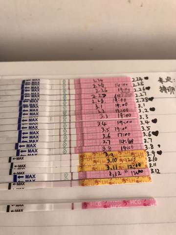 journal_insert_pic_1197681863