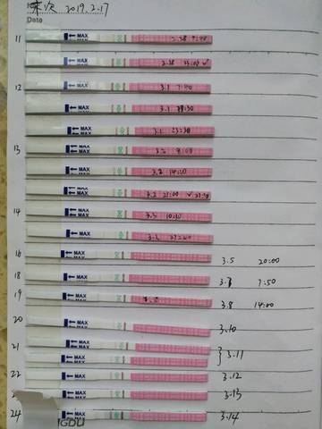 journal_insert_pic_1198070443