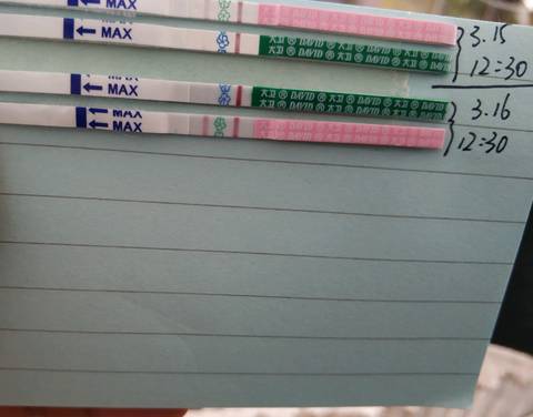 journal_insert_pic_1199224355