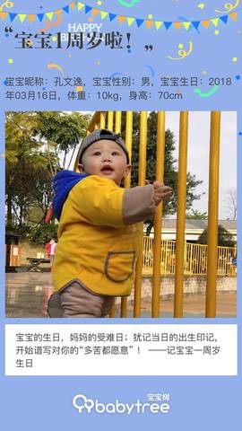 journal_insert_pic_1199287761