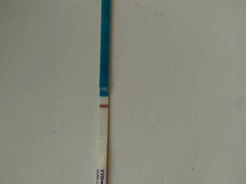 journal_insert_pic_1199641706